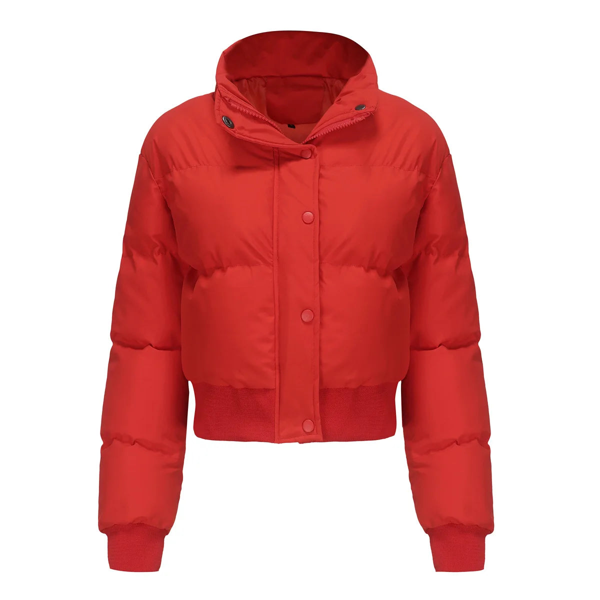 Women's Cozy High-Neck Zip-Up Jacket